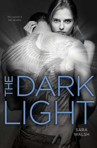 The Dark Light (2012) by Sara Walsh