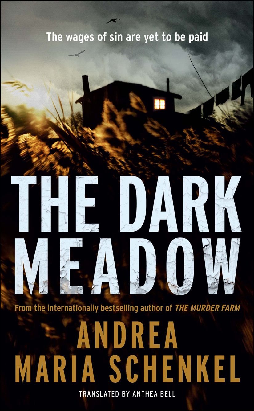 The Dark Meadow (2014) by Andrea Maria Schenkel