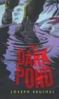 The Dark Pond (2004)