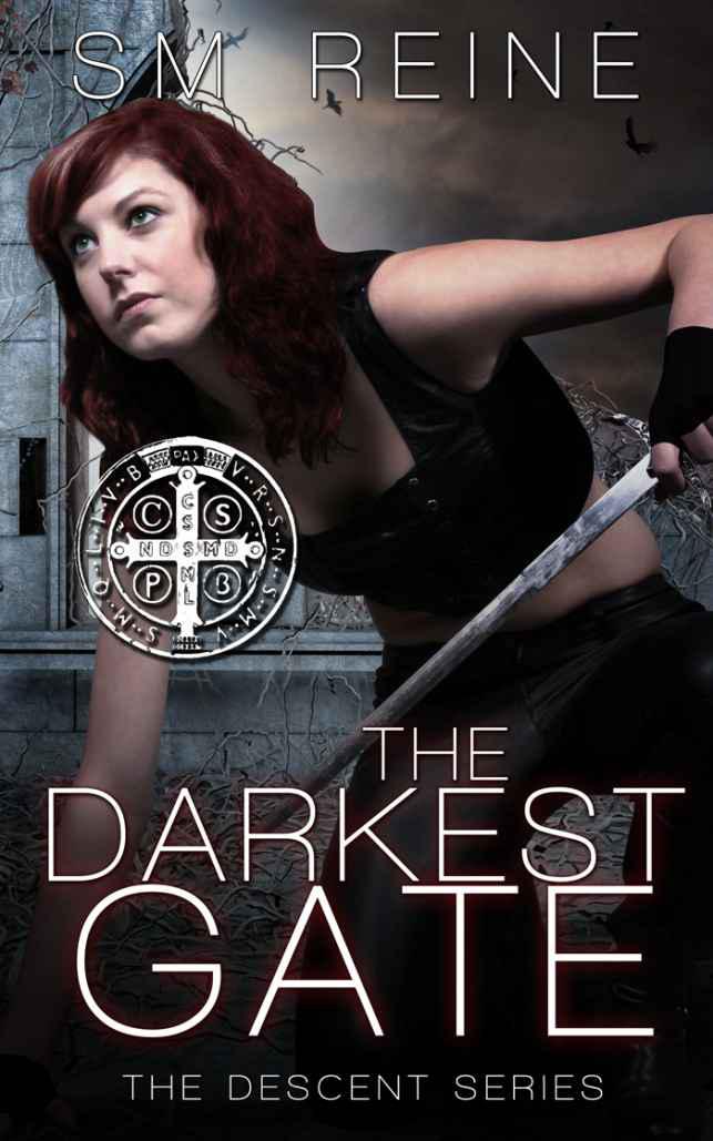 The Darkest Gate by S M Reine