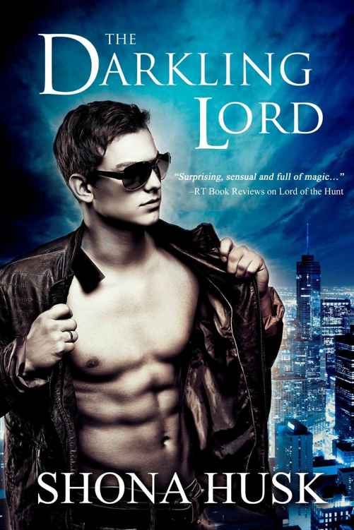 The Darkling Lord: Court of the Banished book 1 (Annwyn Series 4) by Shona Husk