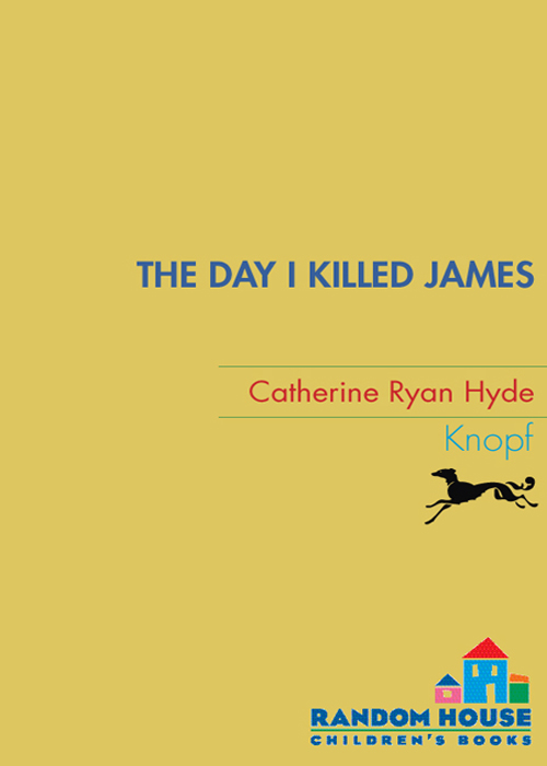 The Day I Killed James (2008) by Catherine Ryan Hyde