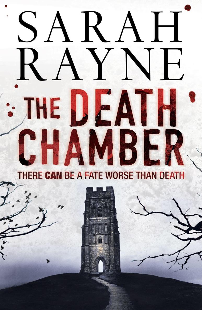 The Death Chamber by Sarah Rayne