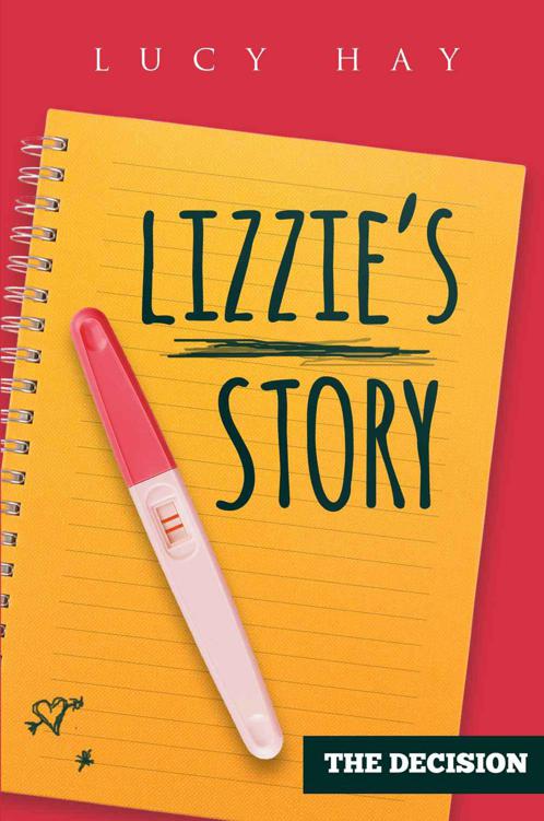 The Decision: Lizzie's Story by Lucy Hay