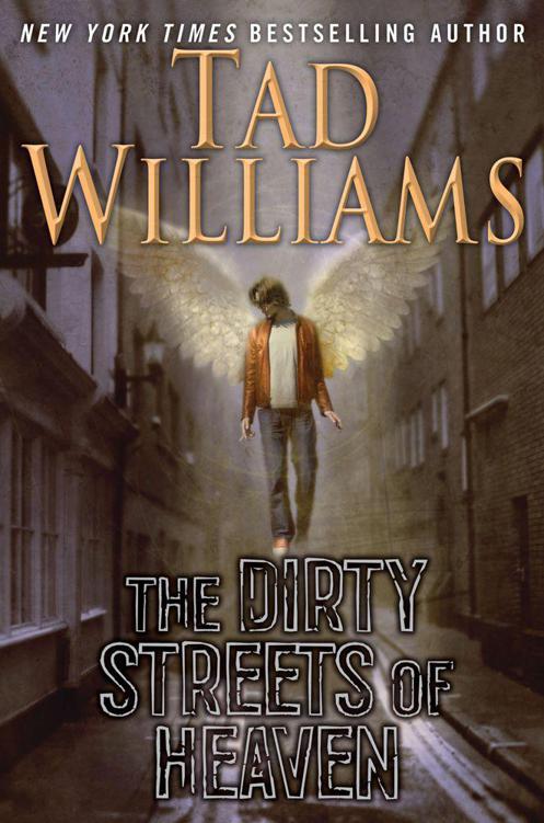 The Dirty Streets of Heaven: Volume One of Bobby Dollar by Williams, Tad