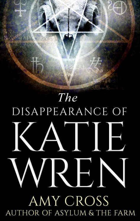 The Disappearance of Katie Wren by Cross,Amy