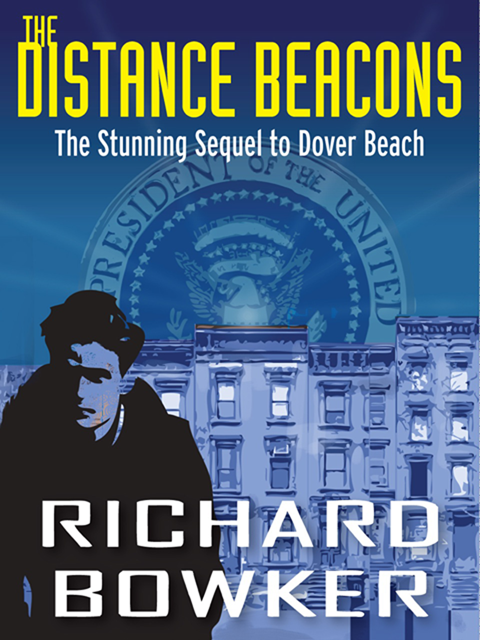 The Distance Beacons (2012) by Richard Bowker