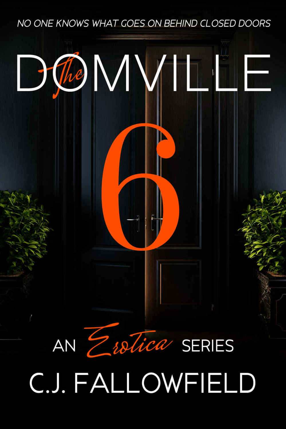 The Domville 6 (The Domville #6) by C. J. Fallowfield