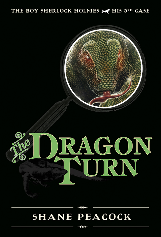 The Dragon Turn (2011) by Shane Peacock