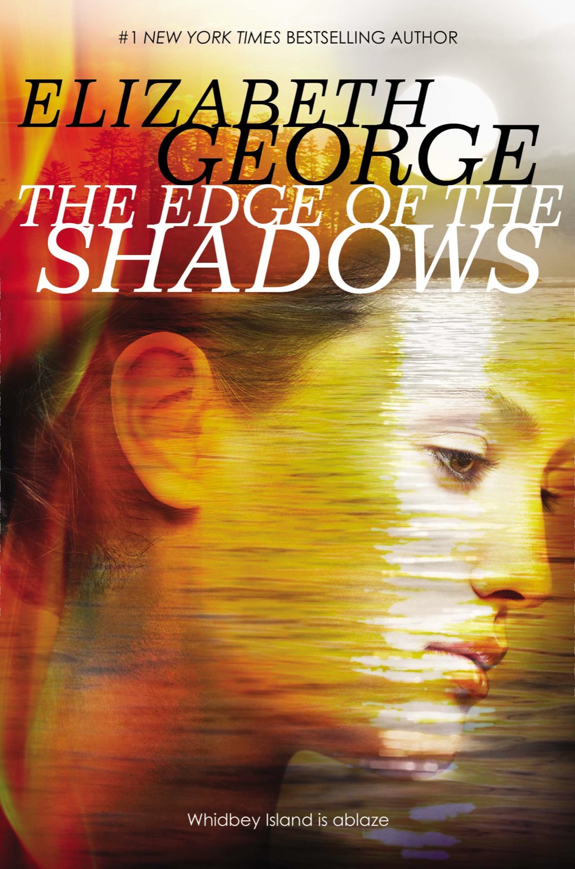 The Edge of the Shadows (2015) by Elizabeth  George