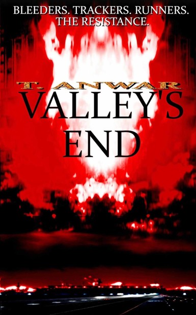 The Effacing (Book 1.5): Valley's End by Clark, T. Anwar