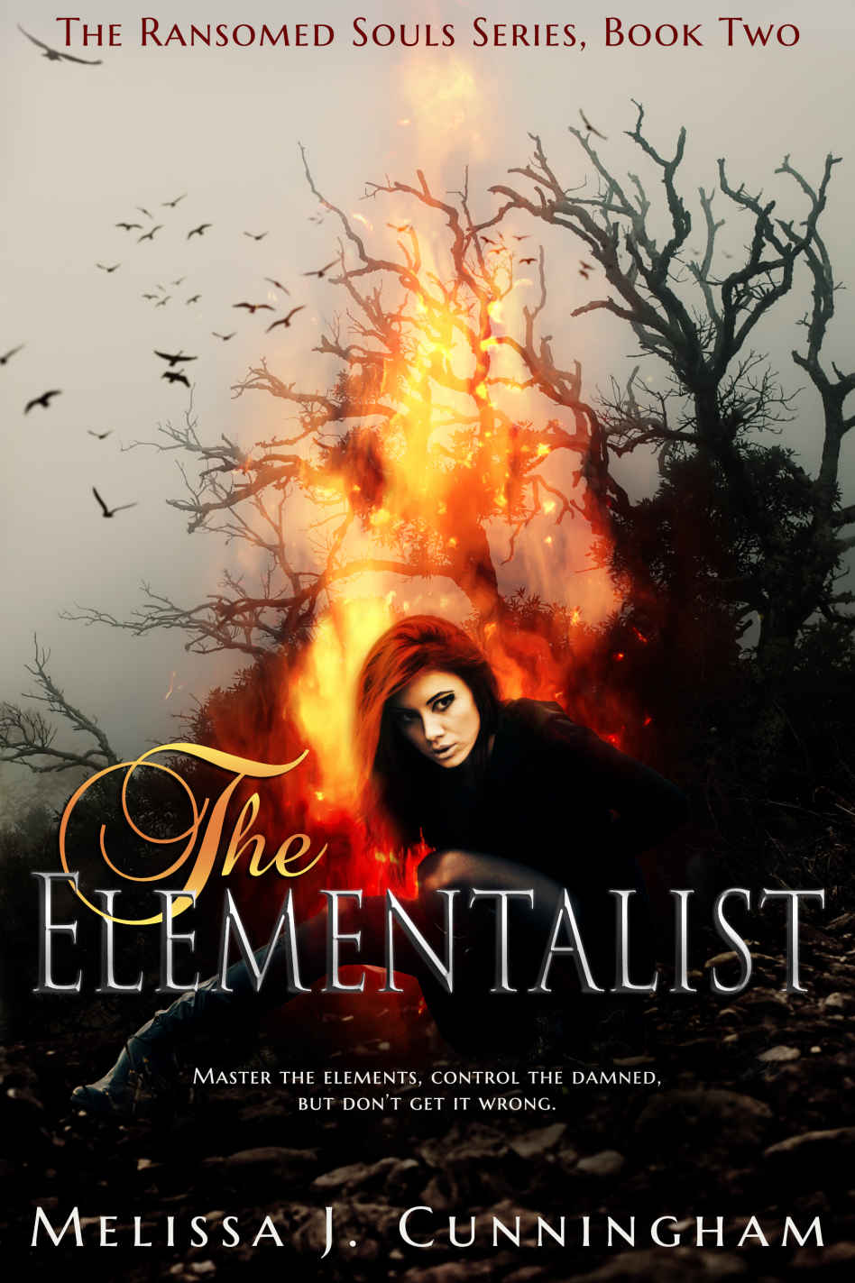 The Elementalist