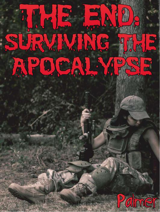 The End: Surviving the Apocalypse by Palmer, Richard