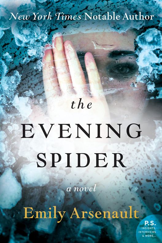 The Evening Spider (2015)