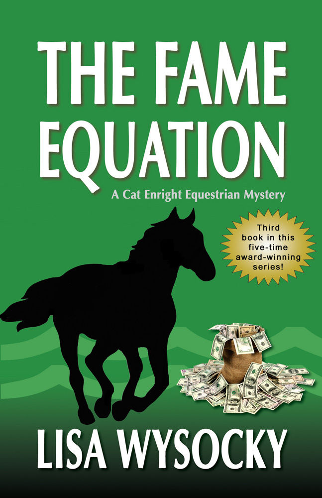 The Fame Equation by Lisa Wysocky