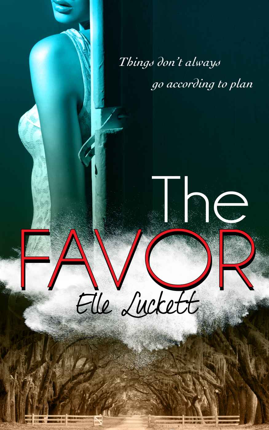 The Favor by Elle Luckett