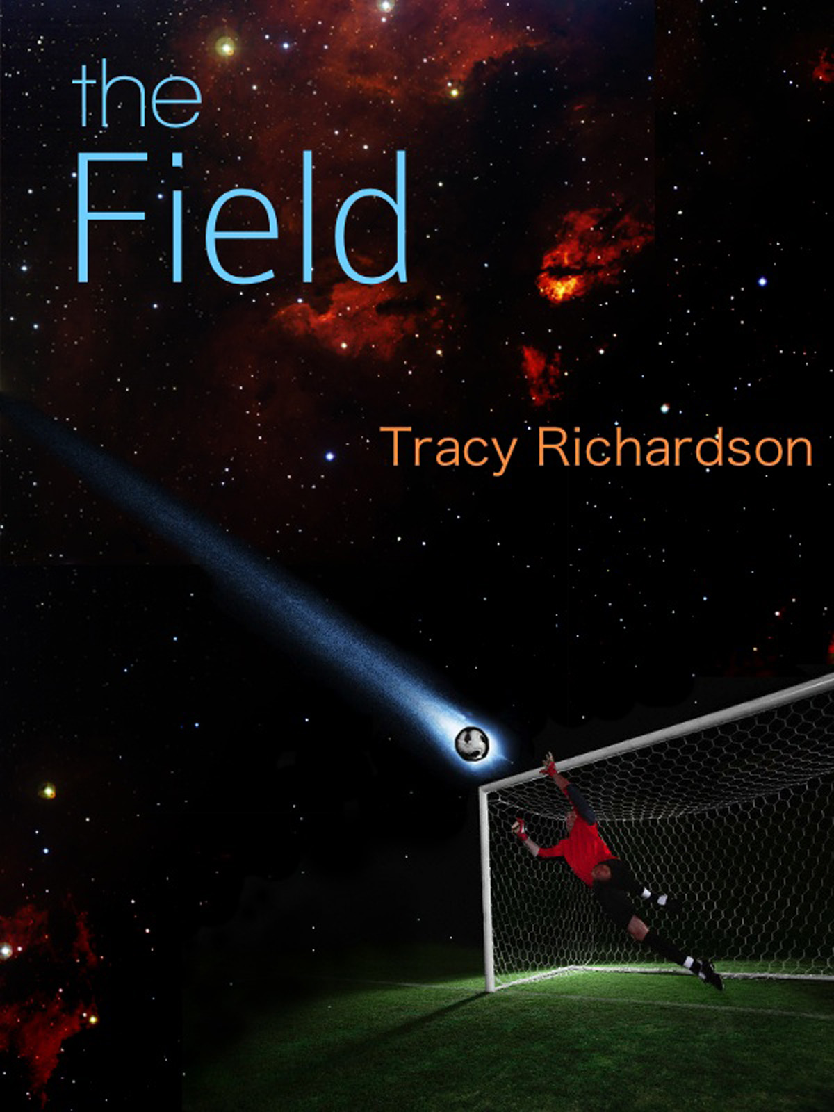 The Field (2013)