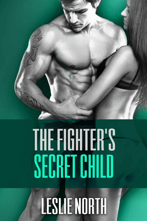 The Fighter's Secret Child (The Burton Brothers Series Book 3) by North, Leslie