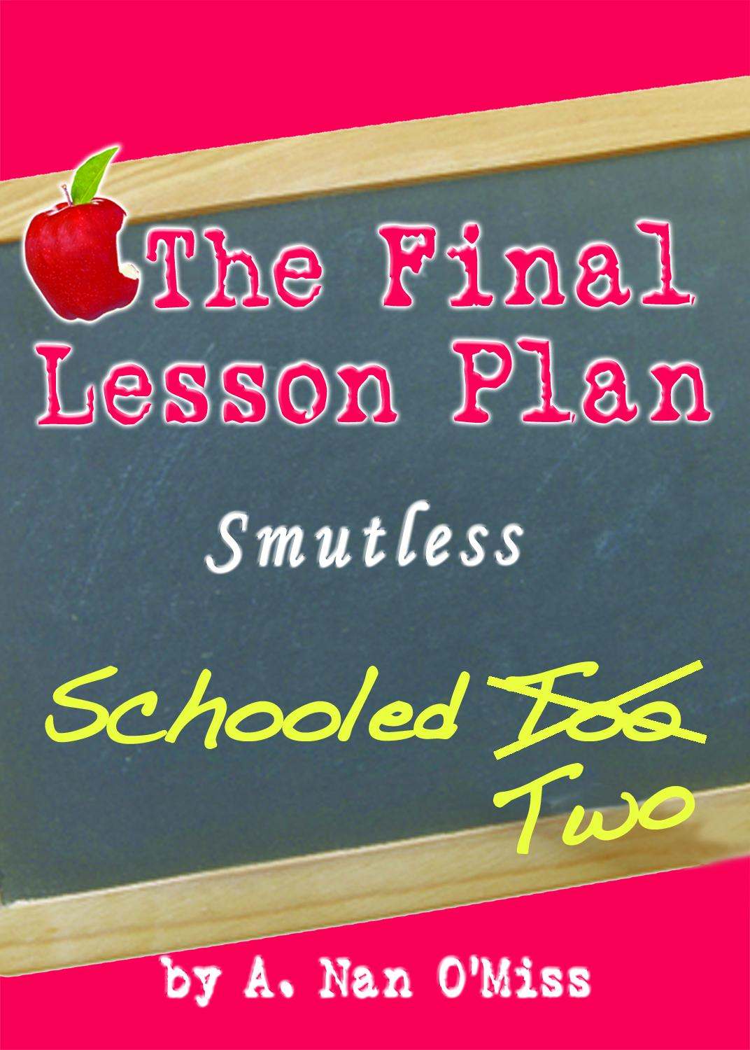 The Final Lesson Plan (2013) by Bright, Deena