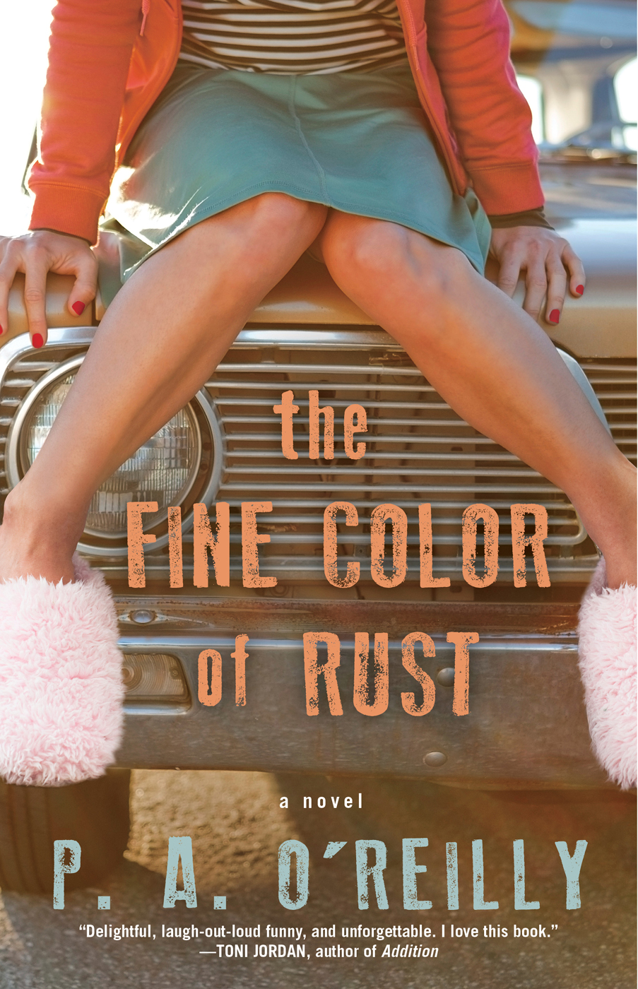 The Fine Color of Rust by Paddy O'Reilly