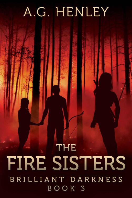 The Fire Sisters (Brilliant Darkness 3) by A. G. Henley