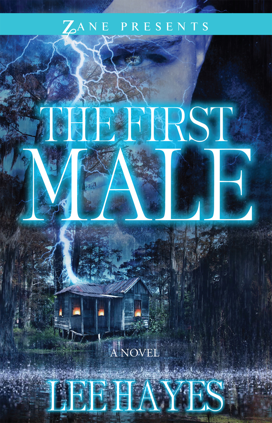 The First Male by Lee  Hayes