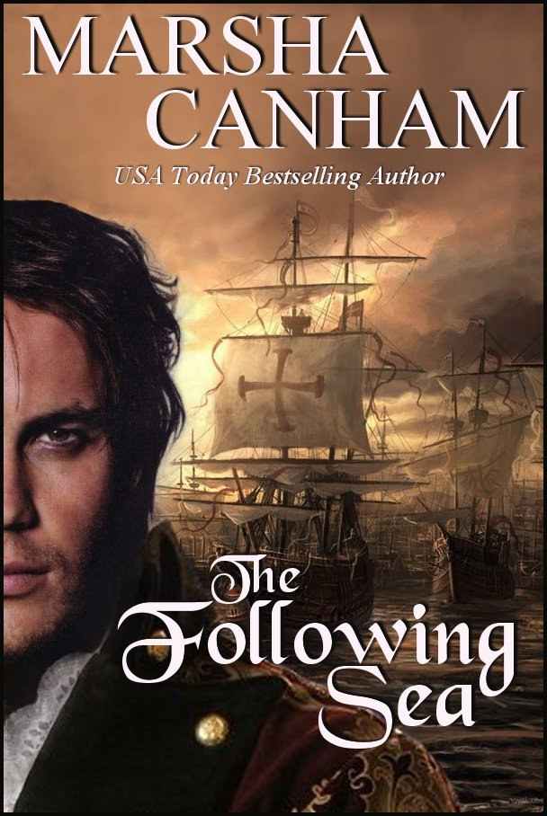 The Following Sea (The Pirate Wolf series)