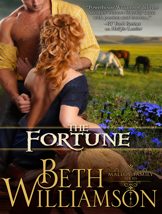The Fortune (2013) by Beth Williamson