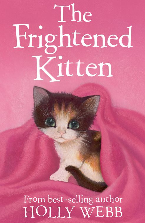 The Frightened Kitten (2012) by Holly Webb