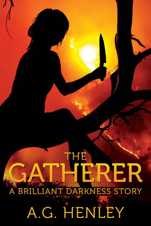 The Gatherer (Brilliant Darkness 2.5) by A. G. Henley