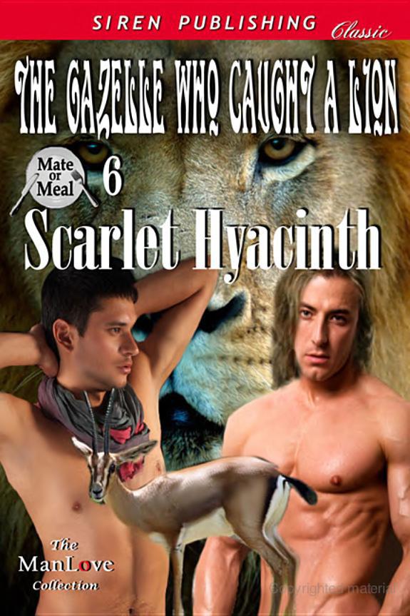 The Gazelle Who Caught a Lion by Hyacinth, Scarlet