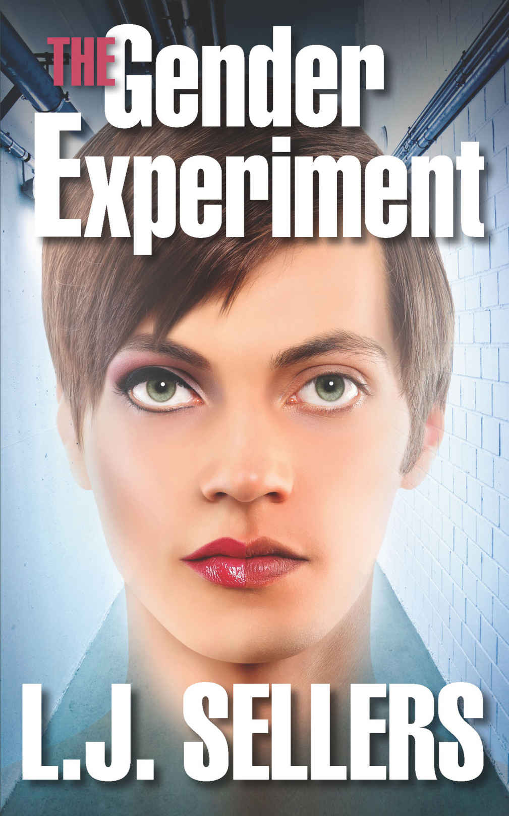 The Gender Experiment: (A Thriller)