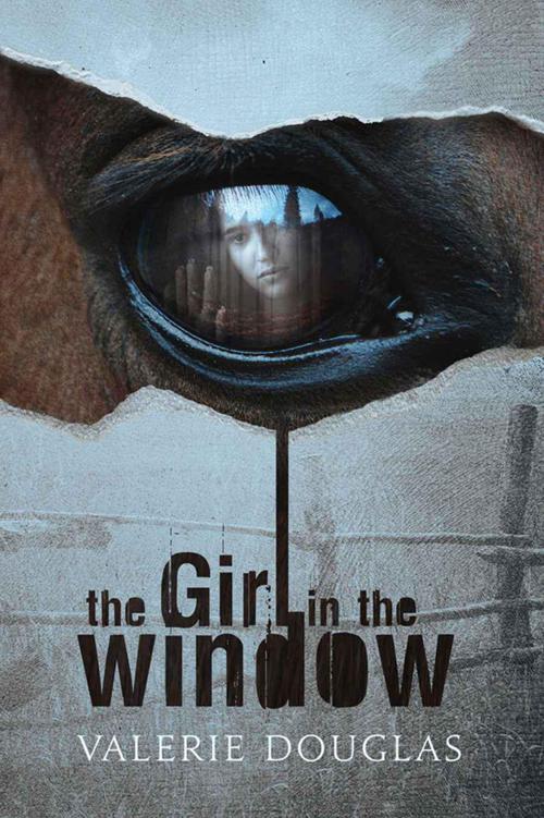 The Girl in the Window