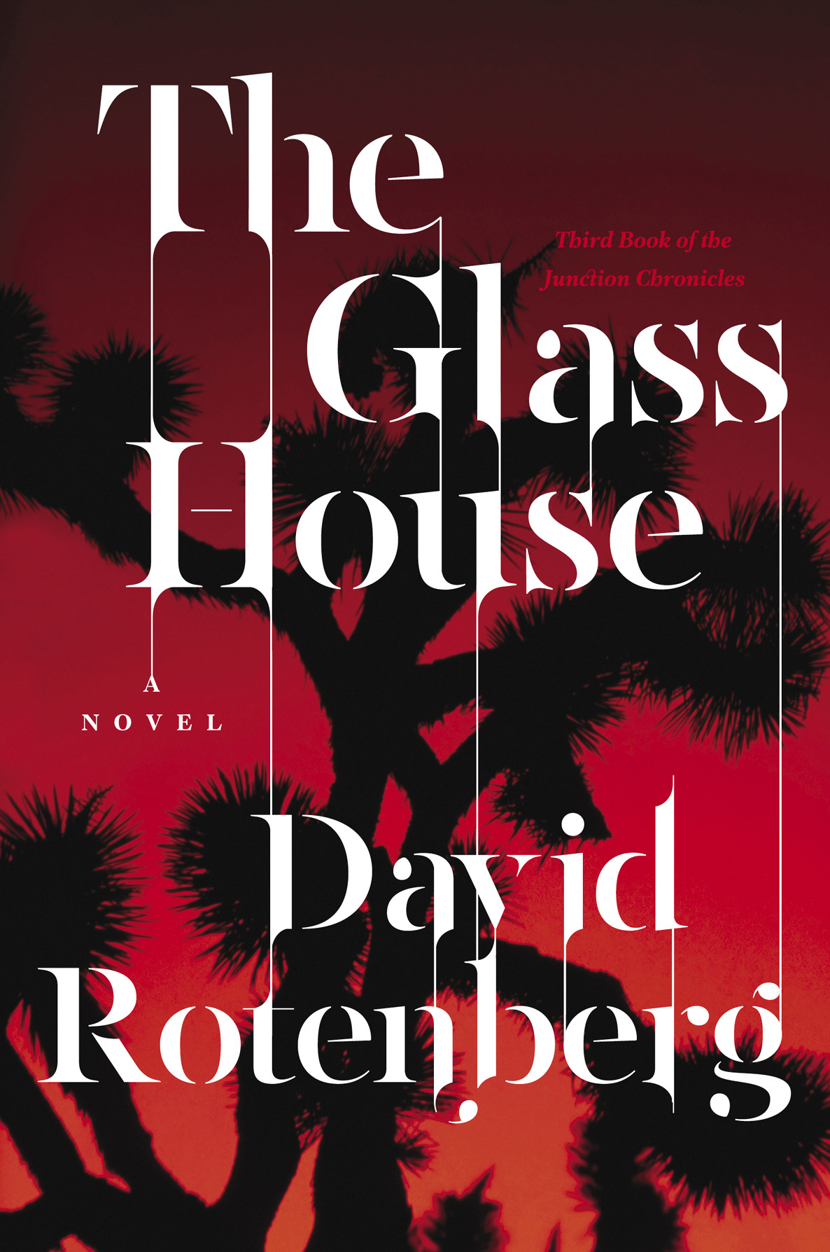 The Glass House by David Rotenberg