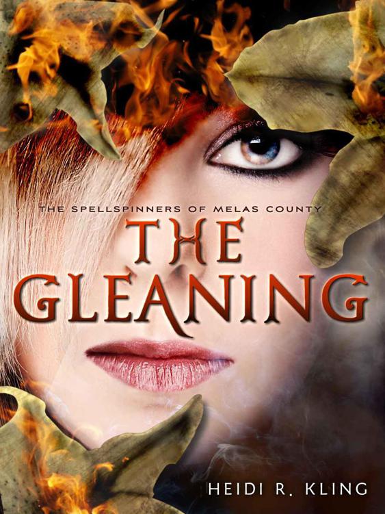 The Gleaning by Kling, Heidi R.