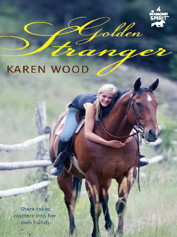 The Golden Stranger (2012) by Karen Wood
