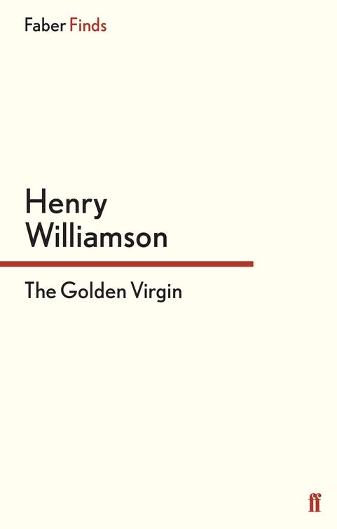 The Golden Virgin (2014) by Henry Williamson