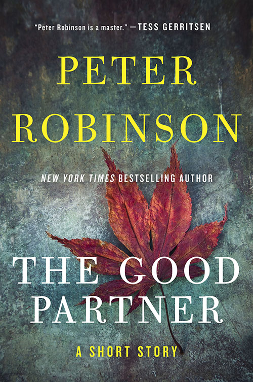 The Good Partner (2016)