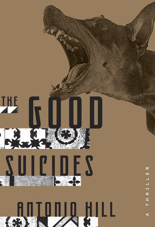 The Good Suicides (2014) by Antonio Hill