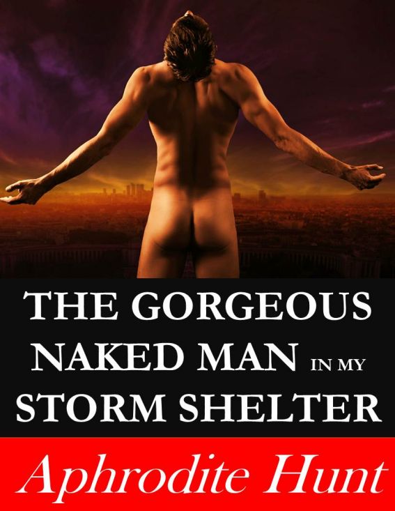 The Gorgeous Naked Man in my Storm Shelter (Erotic Suspense) by Aphrodite Hunt