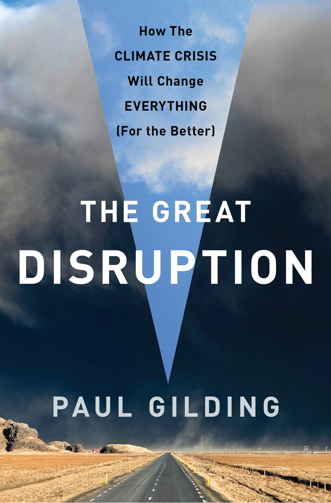 The Great Disruption (2011) by Paul Gilding