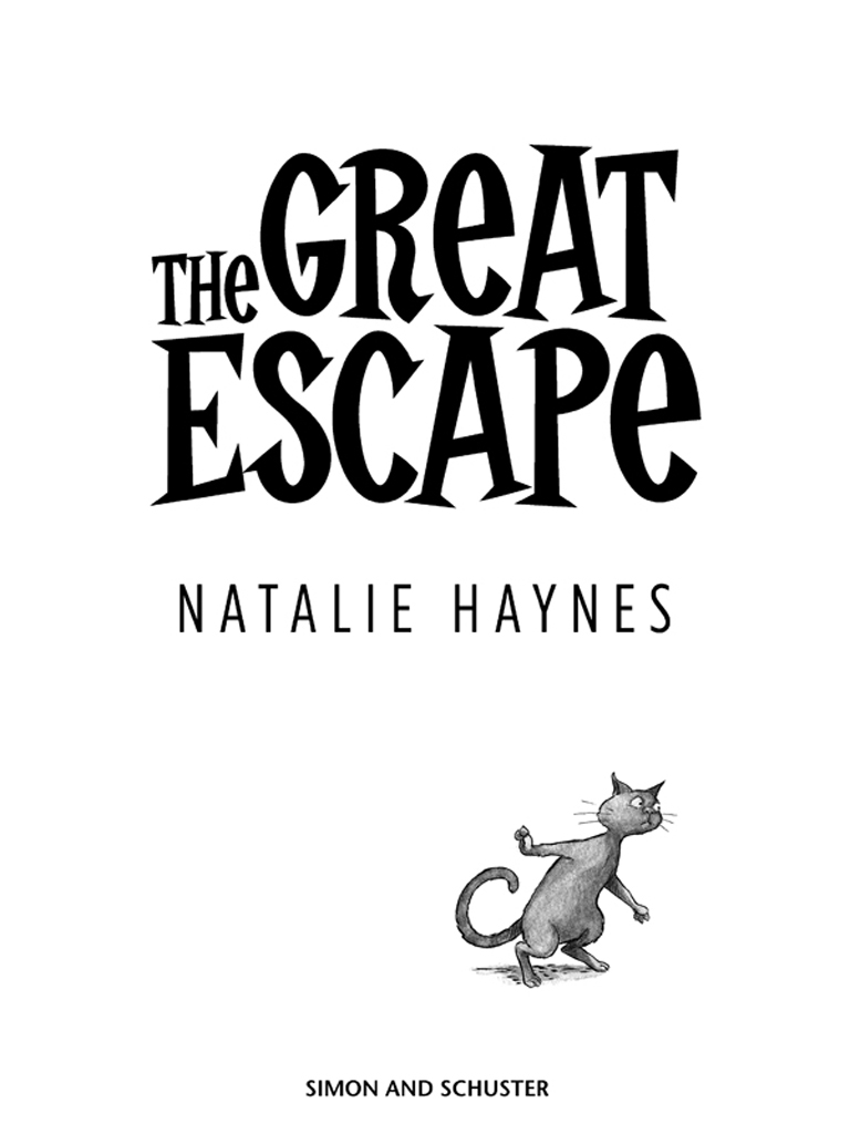 The Great Escape by Natalie Haynes