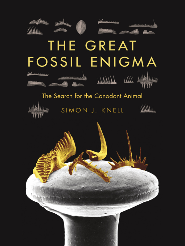 The Great Fossil Enigma by Simon J. Knell