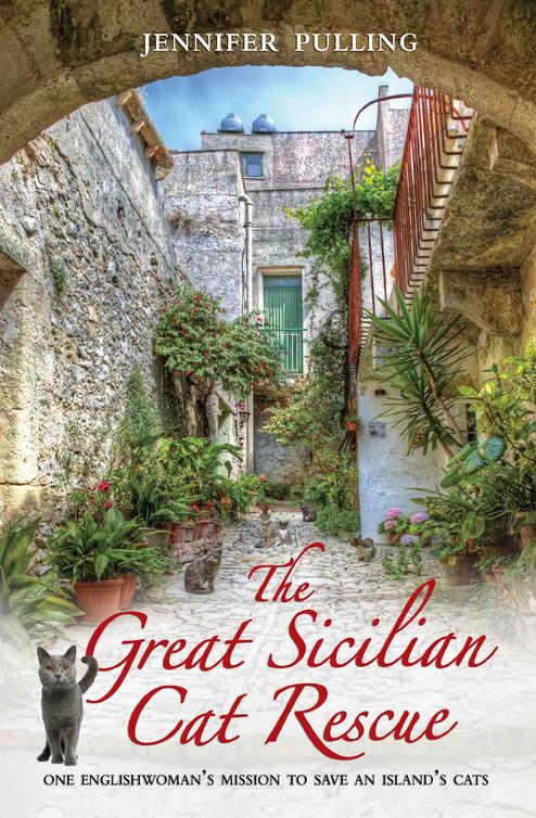 The Great Sicilian Cat Rescue (2015)