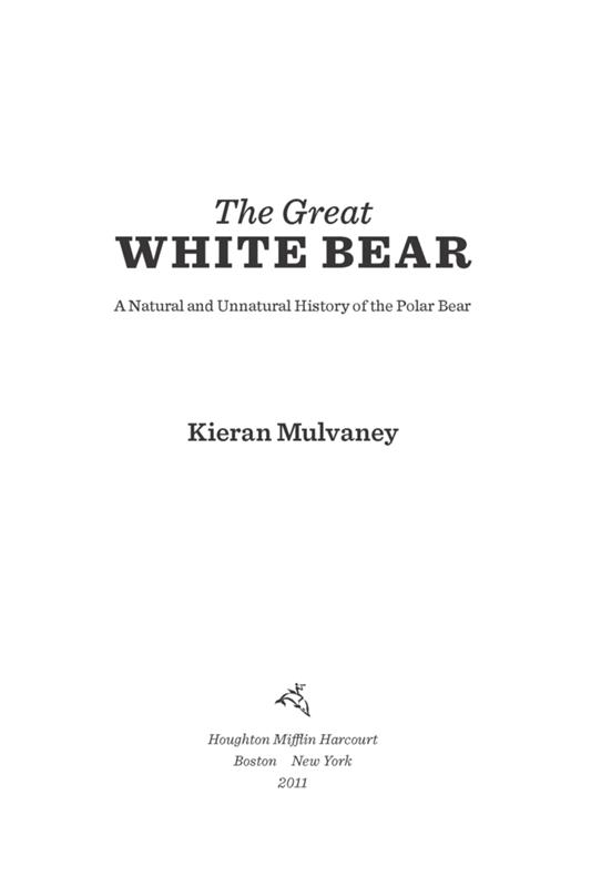 The Great White Bear