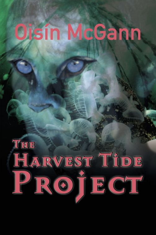 The Harvest Tide Project (2012) by Oisín McGann