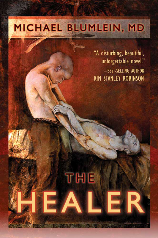 The Healer (2013) by Michael Blumlein