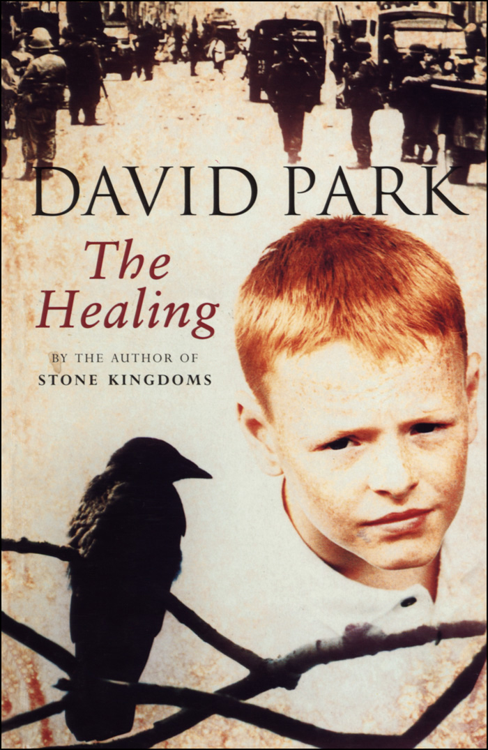 The Healing (1992) by David Park