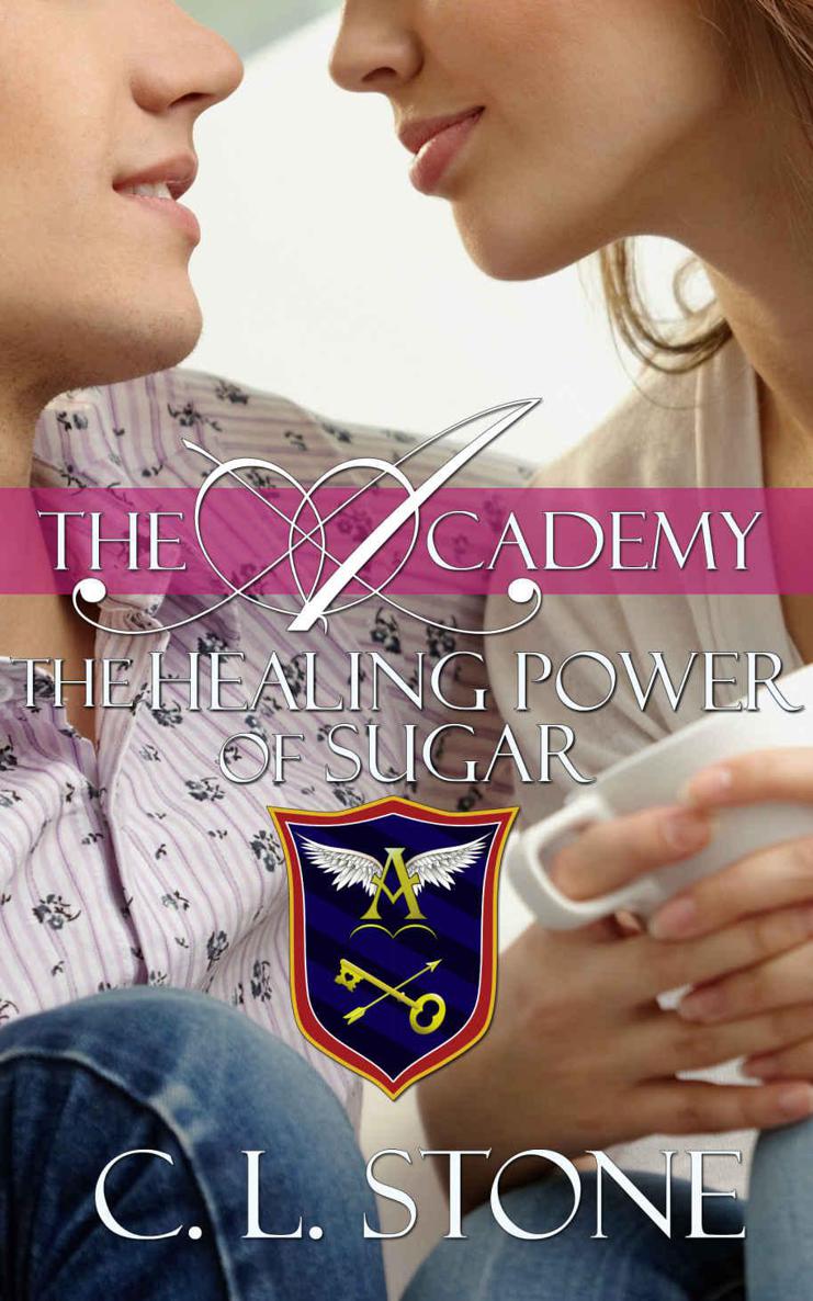 The Healing Power of Sugar: The Ghost Bird Series: #9 (The Academy Ghost Bird Series) by Stone, C. L.