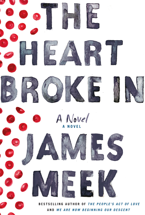 The Heart Broke In by James Meek